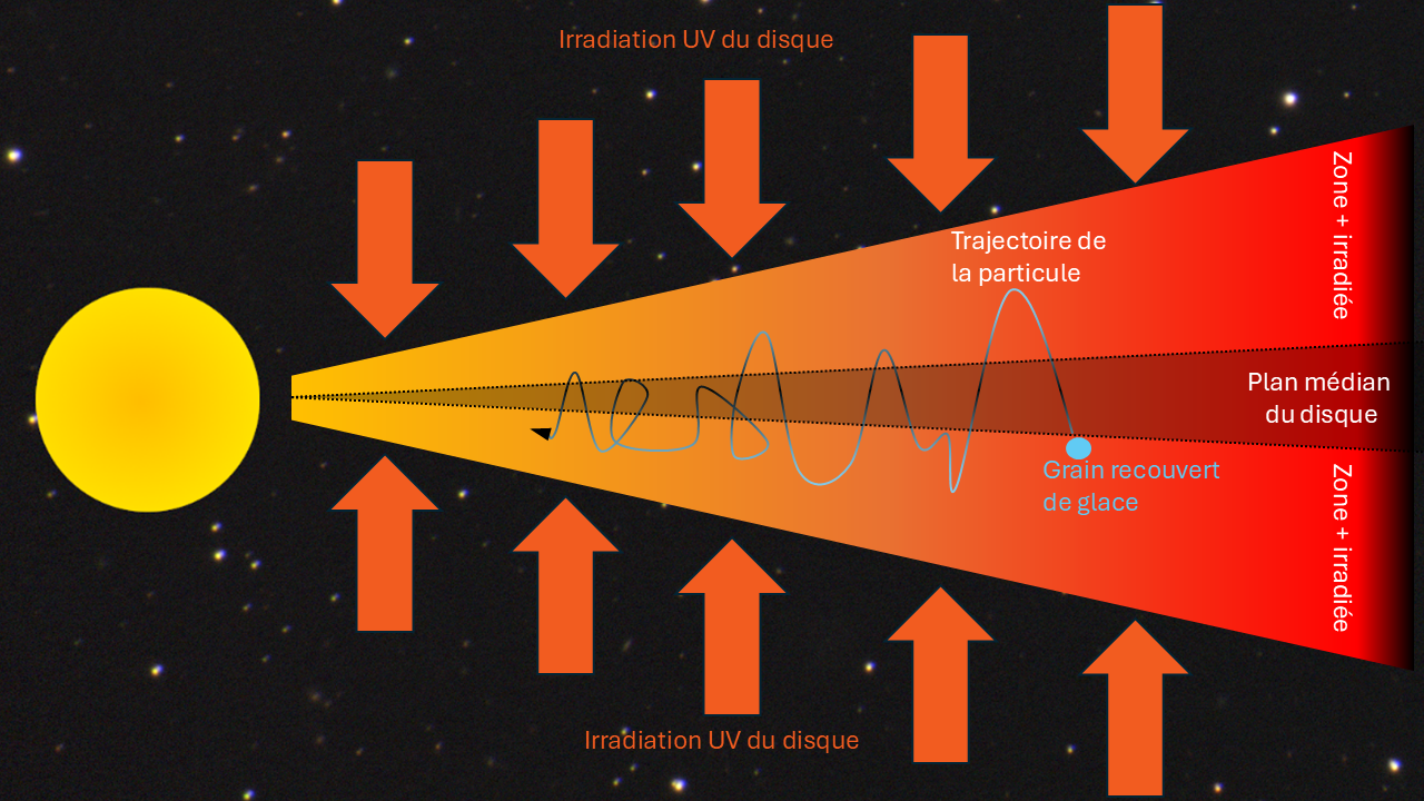Figure 1 : Illustration du transport des particules dans un disque protoplanétaire. L’irradiation interstellaire pénètre perpendiculairement au disque, de sorte que les régions proches de la surface du disque sont les plus irradiées, tandis que le plan médian est totalement opaque aux rayons UV. Les grains se déplacent à la fois radialement et verticalement, ce qui les expose à des conditions d’irradiation variées en fonction de leur trajectoire.