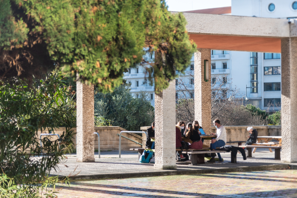 espace aménagé sur le campus de Saint-Charles. 