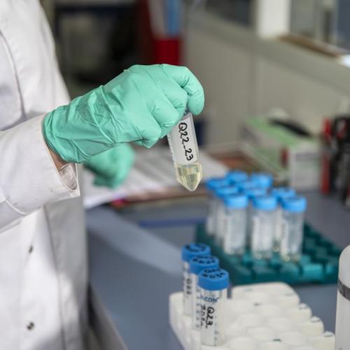 Photo d'une main gantée en laboratoire qui tient un échantillon de quartz en solution dans un tube suite à la préparation d'un échantillon. 