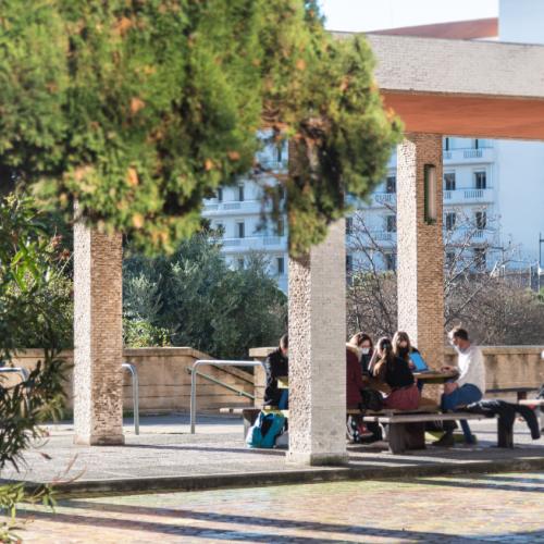 espace aménagé sur le campus de Saint-Charles. 
