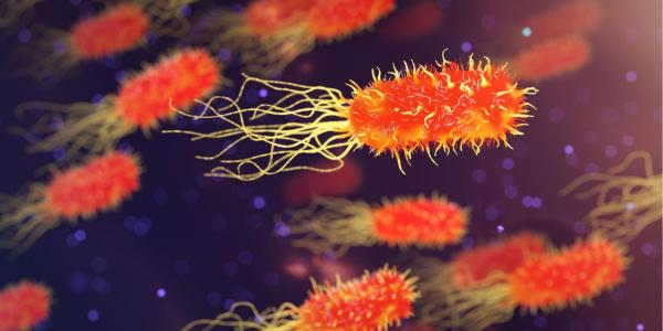 Illustration d'un microbe