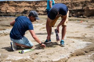 Two researchers measure the footprints found.