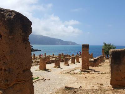 CCJ - Illustration Tipaza