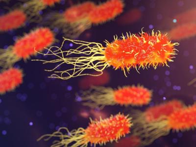 Illustration d'un microbe