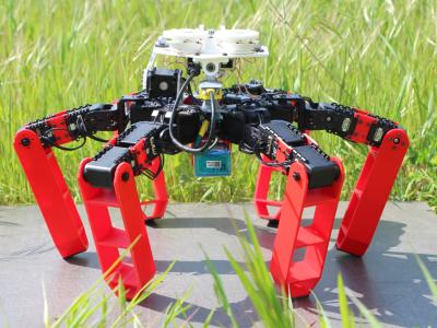Photo d’AntBot, le premier robot à pattes qui se déplace sans GPS Crédit : © Julien Dupeyroux, ISM (CNRS/AMU) 