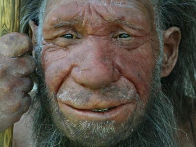 Illustration de l'article sur le changement climatique et les Neandertaliens