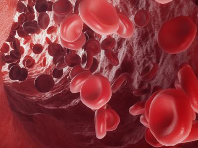 Rendu 3D de la circulation des globules rouges dans une veine ou une artère